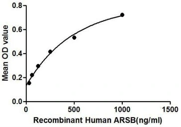 Human ARSB protein, His tag. GTX00161-pro