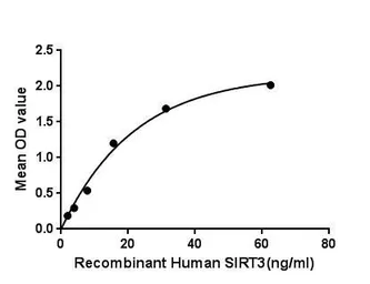 Human SIRT3 protein, His tag. GTX00190-pro