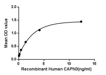 Human Calpain 3 protein, His tag. GTX00194-pro