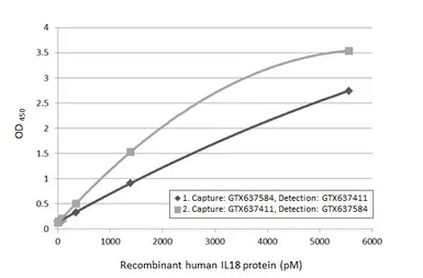 Human IL18 protein, His tag. GTX00227-pro