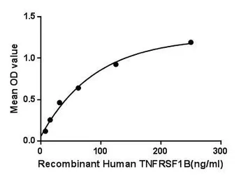 Human TNF Receptor II protein, His tag (active). GTX00235-pro