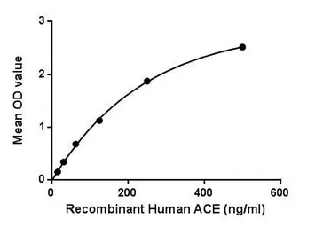 Human ACE protein, His tag. GTX00247-pro