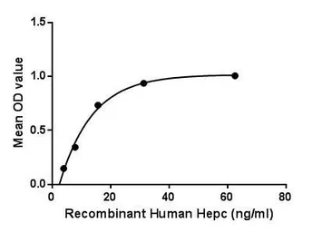 Human Hepcidin protein, His and Human IgG1 Fc tag. GTX00261-pro