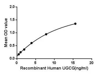 Human UGCG protein, His tag. GTX00280-pro