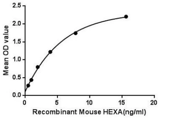 Mouse HEXA protein, His tag. GTX00306-pro