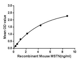 Mouse GDF8 / Myostatin protein, His tag. GTX00308-pro