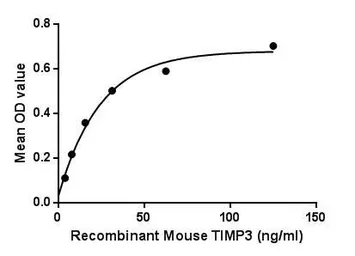Mouse TIMP3 protein, His tag. GTX00324-pro