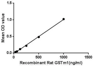 Rat GSTM1 protein, His tag. GTX00356-pro