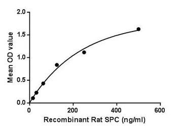 Rat SFTPC protein, His tag. GTX00370-pro