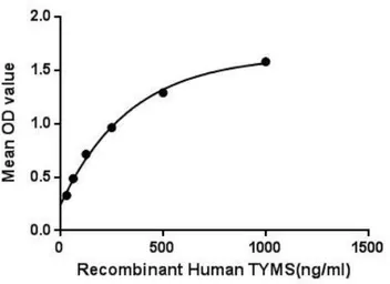Human Thymidylate synthase protein, His tag. GTX00420-pro