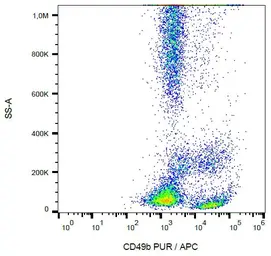 Anti-Integrin alpha 2 antibody [AK7] used in Flow cytometry (FACS). GTX00462