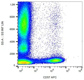 Anti-CD57 antibody [TB01] (APC) used in Flow cytometry (FCM). GTX00463-07