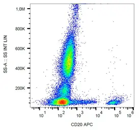 Anti-CD20 antibody [2H7] (APC) used in Flow cytometry (FCM). GTX00466-07