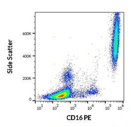 Anti-CD16 antibody [3G8] (PE) used in Flow cytometry (FCM). GTX00468-08