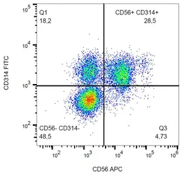 Anti-NKG2D antibody [1D11] (FITC) used in Flow cytometry (FACS). GTX00469-06