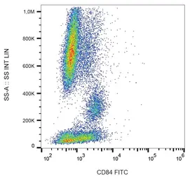 Anti-CD84 antibody [CD84.1.21] (FITC) used in Flow cytometry (FACS). GTX00476-06