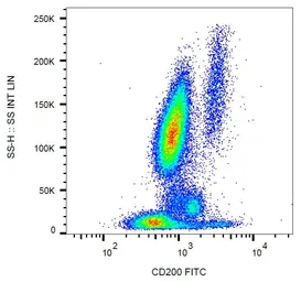 Anti-CD200 antibody [OX-104] (FITC) used in Flow cytometry (FCM). GTX00487-06
