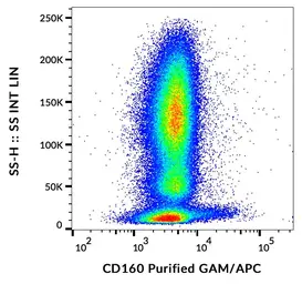 Anti-CD160 antibody [BY55] used in Flow cytometry (FACS). GTX00488