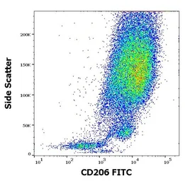 Anti-Mannose Receptor antibody [15-2] (FITC) used in Flow cytometry (FCM). GTX00491-06