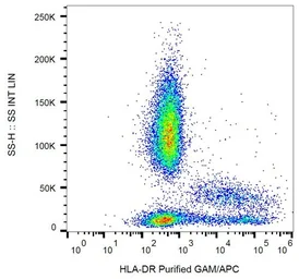 Anti-HLA-DR antibody [L243] used in Flow cytometry (FCM). GTX00505
