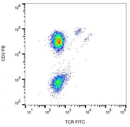 Anti-TCR gamma + delta antibody [B1] (FITC) used in Flow cytometry (FACS). GTX00507-06