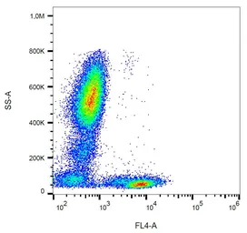 Anti-CD5 antibody [L17F12] (PerCP) used in Flow cytometry (FCM). GTX00525-16