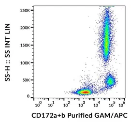 Anti-SIRP alpha + SIRP beta antibody [SE5A5] used in Flow cytometry (FCM). GTX00543