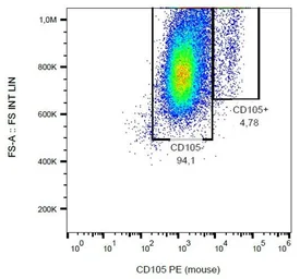 Anti-CD105 antibody [MJ7/18] (PE) used in Flow cytometry (FCM). GTX00572-08