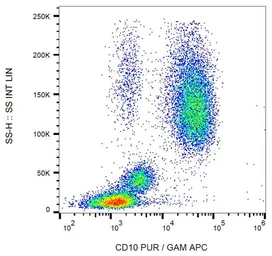 Anti-CD10 antibody [LT10] used in Flow cytometry (FCM). GTX00591