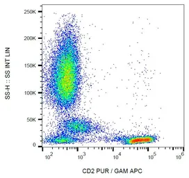 Anti-CD2 antibody [LT2] used in Flow cytometry (FACS). GTX00595