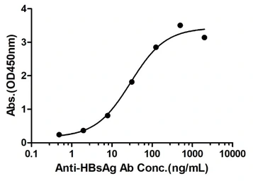 Anti-Hepatitis B virus Surface Antigen antibody used in ELISA (ELISA). GTX00629