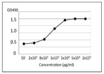 Anti-Vibrio parahaemolyticus TRH Toxin antibody [vp-01] used in ELISA (ELISA). GTX00855