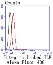 Anti-ILK antibody [SC68-04] used in Flow cytometry (FCM). GTX01046