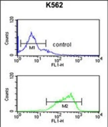 Anti-HAS2 antibody used in Flow cytometry (FACS). GTX01068