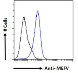 Anti-MEFV antibody used in Flow cytometry (FCM). GTX01092