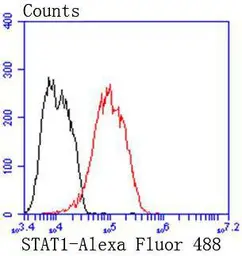 Anti-STAT1 antibody [SD20-75] used in Flow cytometry (FCM). GTX01142