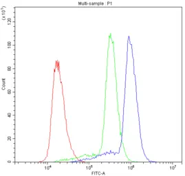 Anti-ASIC3 antibody used in Flow cytometry (FCM). GTX01177