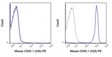 Anti-CD45.1 antibody [A20] (PE) used in Flow cytometry (FCM). GTX01463-08
