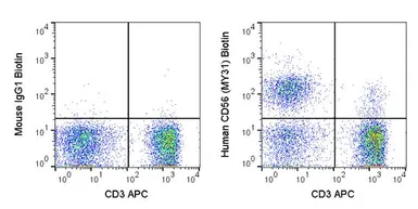 Anti-NCAM antibody [MY31] (Biotin) used in Flow cytometry (FCM). GTX01477-02