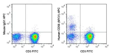 Anti-NCAM antibody [MY31] (APC) used in Flow cytometry (FCM). GTX01477-07