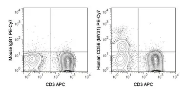 Anti-NCAM antibody [MY31] (PE-Cy7) used in Flow cytometry (FCM). GTX01477-10