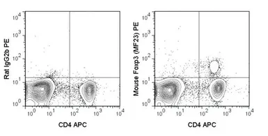 Anti-FOXP3 antibody [MF23] (PE) used in Flow cytometry (FCM). GTX01488-08