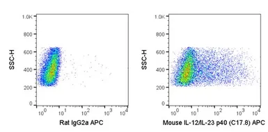 Anti-IL12B / IL12 p40 antibody [C17-8] (APC) used in Flow cytometry (FCM). GTX01491-07