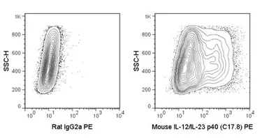 Anti-IL12B / IL12 p40 antibody [C17-8] (PE) used in Flow cytometry (FCM). GTX01491-08