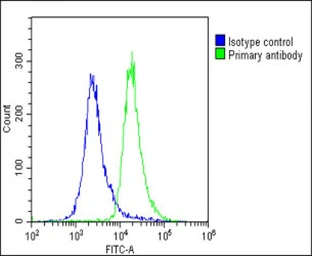 Anti-ALKBH5 antibody used in Flow cytometry (FCM). GTX01525