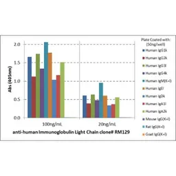 Rabbit Anti-Human Ig light chain antibody [RM129]. GTX01571