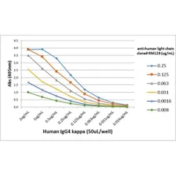 Rabbit Anti-Human Ig light chain antibody [RM129]. GTX01571