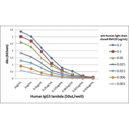 Rabbit Anti-Human Ig light chain antibody [RM129]. GTX01571