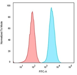 Anti-CD74 antibody [CLIP/3127R] used in Flow cytometry (FCM). GTX02612