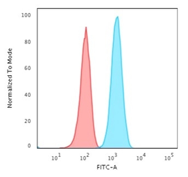 Anti-GFAP antibody [ASTRO/1974R] used in Flow cytometry (FCM). GTX02644